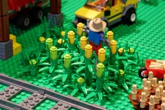 Stadt aus LEGO Bausteinen von Lisi und Max - Maisfeld mit Vogelscheuche